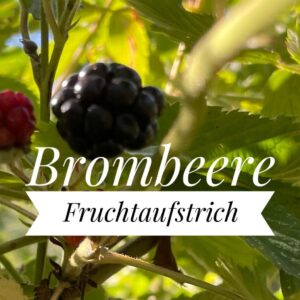 Fruchtaufstrich Brombeer