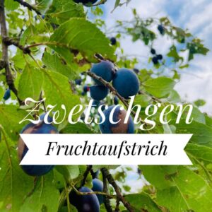 Fruchtaufstrich Zwetschge