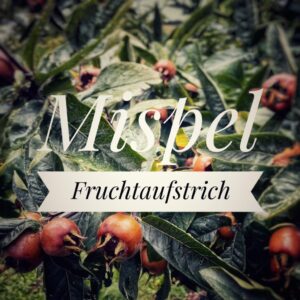 Fruchtaufstrich Mispel Kürbis