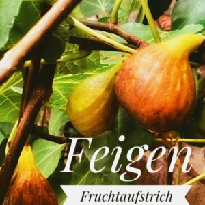 Fruchtaufstrich Feige