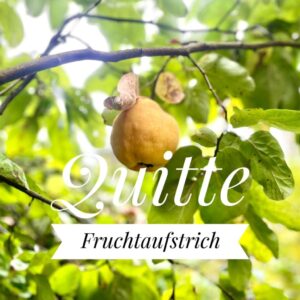 Fruchtaufstrich Quitte