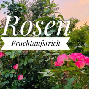 Fruchtaufstrich Rose