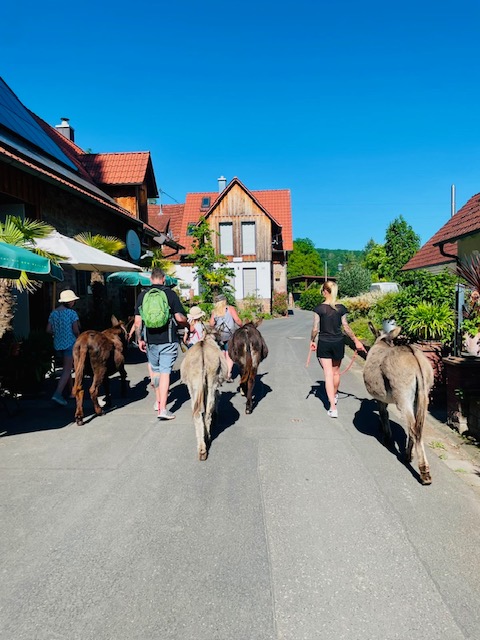 FAMILIEN-ESELWANDERUNG - 18. Oktober
