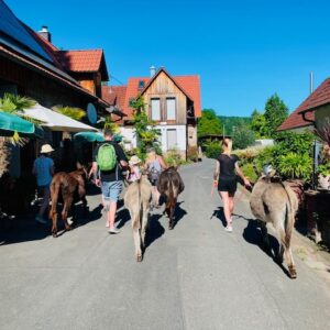 ESELWANDERUNG – 16. August