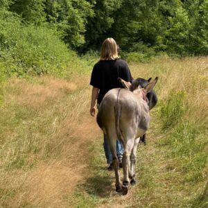 ESELWANDERUNG – 18. Oktober
