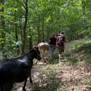 FAMILIEN-ESELWANDERUNG – 20. September