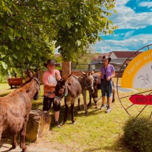 ESELWANDERUNG – 20. September
