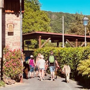 ESELWANDERUNG – 18. Oktober